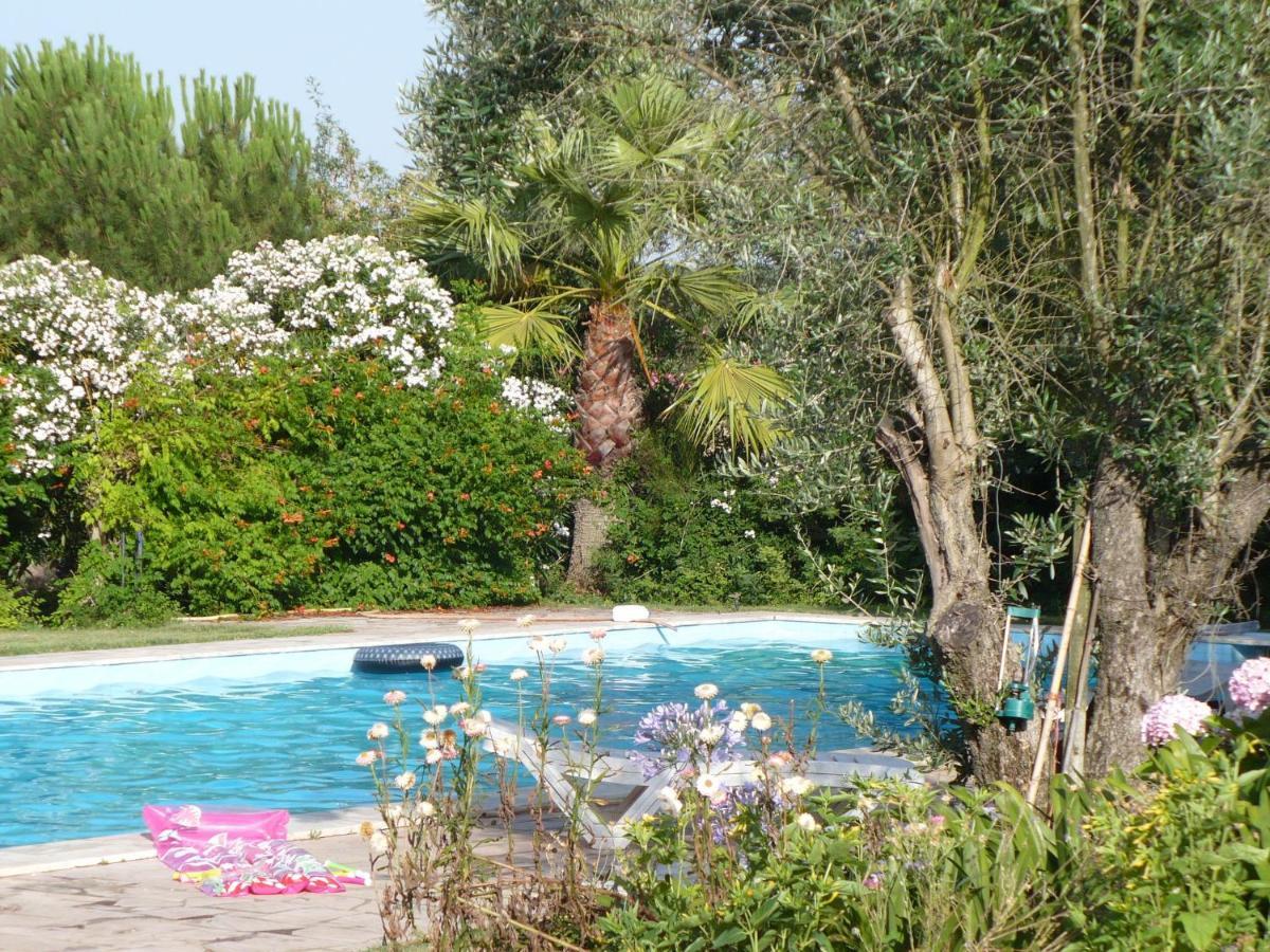 Inviting Holiday Home In Montemor O Novo With Pool Экстерьер фото